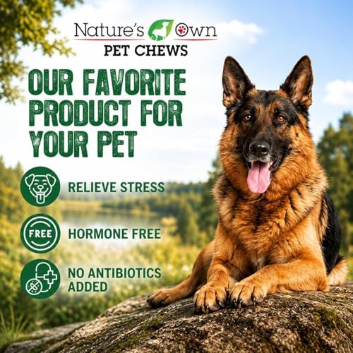 Nature’s Own Not-Rawhide Vanilla Flavored Cow Ears for Dogs | Made in USA | Long Lasting Dog Chews | Safe Rawhide Alternative (Pack of 5)