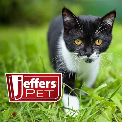 Jeffers Pet Ear Cleaning Solution for Dogs, Cats & Puppies, 128 oz – Aloe Vera Ear Wash for Wax & Odor Removal, Itchy Ear Comfort, Routine Ear Hygiene, Home Grooming, Travel Friendly Pet Care