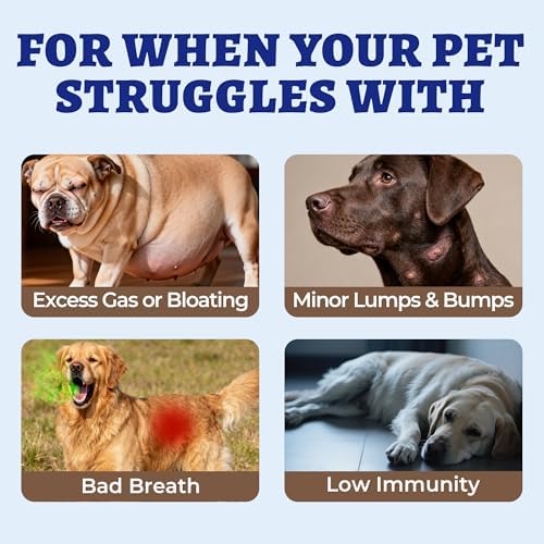 Wellix 550 Bites 7 Mushroom Chews with Turkey Tail for Dogs, Chicken
