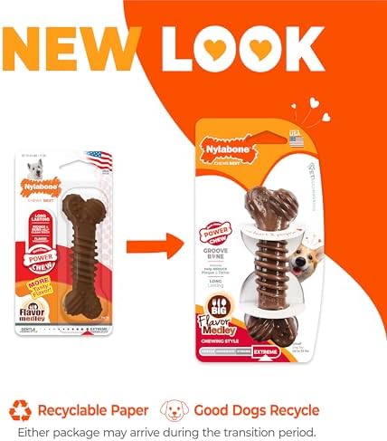 Nylabone Power Chew Dental Groove Bone Dog Chew Toy, Flavor Medley, Small