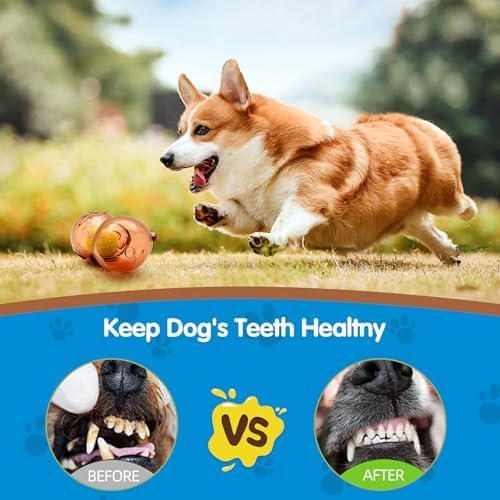 Tough Dog Chew Toy for Small, Medium Breeds Ball in Bottle Strong Rubber Treat Dispensing Toy Cute Interactive Slow Feeder Dog Fetch Toys (Blue-Dispenser(NO Ball))