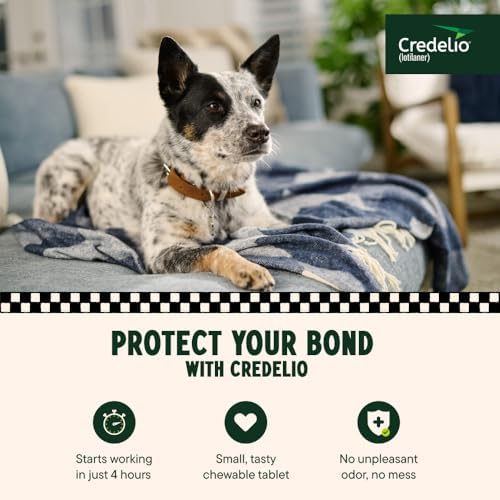Credelio (lotilaner) Tick & Flea Treatment for Dogs 25.1-50 lbs., 3ct