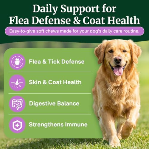 Flea and Tick Prevention for Dogs Chewables, Dog Flea and Tick Treatment