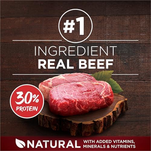 Purina ONE True Instinct Grain Free Dry Dog Food, Real Beef, 12.5 lb Bag