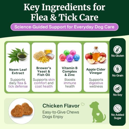 Flea and Tick Prevention for Dogs Chewables, Dog Flea and Tick Treatment