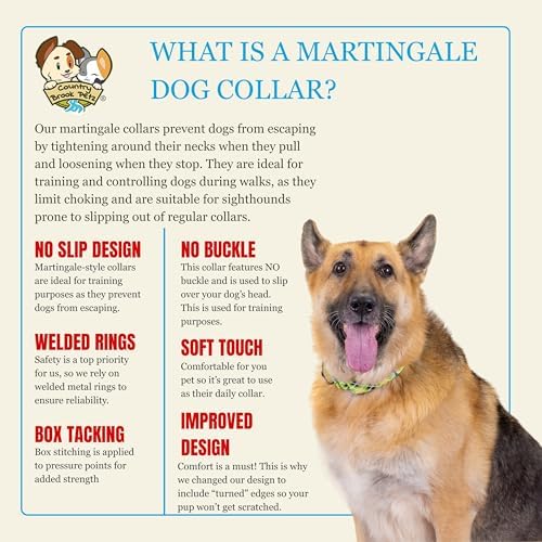 Country Brook Petz - HossFit Jr Wide Martingale Dog Collar - Plaid and Argyle Collection Featuring Charming Designs (Margarita Argyle, Medium)