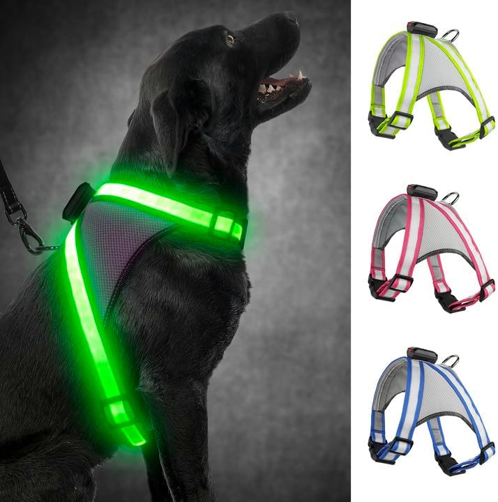 Visinite LED Dog Harness, USB Rechargeable Light Up Dog Vest, 2 Illuminate Modes Glow in The Dark Dog Harness, Adjustable Lighted Pet Harness Light for Night Walking Safety (Green, S)