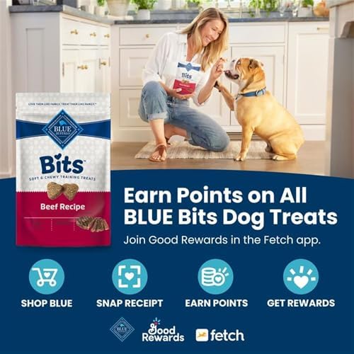 Blue Buffalo Bits Variety Pack Training Treats, 1.19 Pound (Pack of 12)