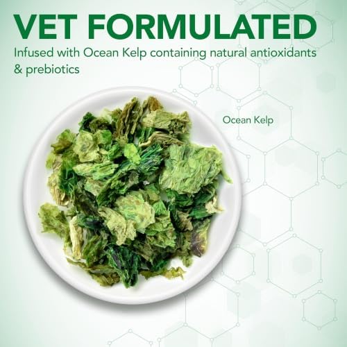 Vet's Best Probiotic Soft Chews for Dogs, Digestive Aid, 30 Day Supply