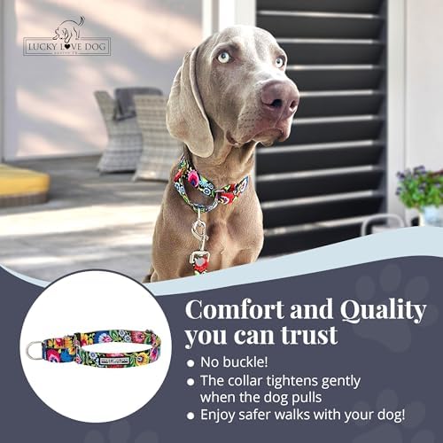 Lucky Love Dog Martingale Collar for Medium Dogs Cute – Blackbird, Medium