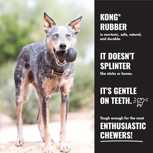 KONG Extreme Goodie Bone, Natural Rubber, Black, for Extra Large Dogs