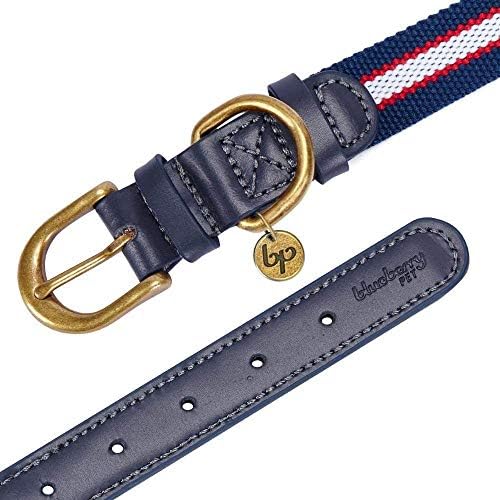 Blueberry Pet Soft & Comfy Genuine Full Grain Leather & Polyester Combo Adjustable Dog Collar - Classic Staple Striped in Navy White and Red, Small, Neck 12"-15"