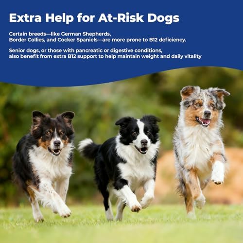 Appetite Stimulant for Dogs, Liquid Vitamin B12 & Methylcobalamin Drops