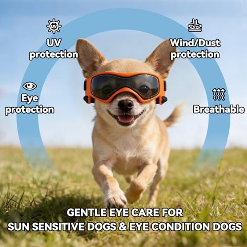 Dog Goggles for Small Breed, Anti-UV Windproof Extra Small Dog Sunglasses, XSmall Pet Eye Protection for Riding Cycling Hiking, Orange XS