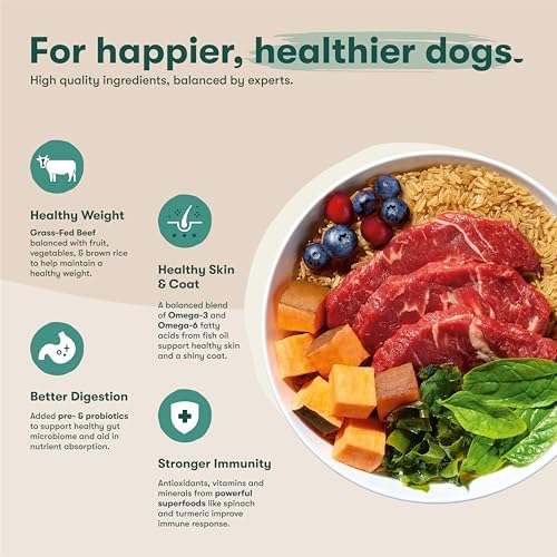 Jinx Dry Dog Food - Grass-Fed Beef, Brown Rice & Sweet Potato, 4lb