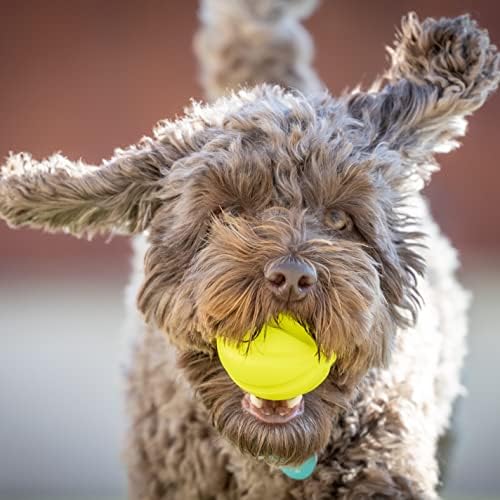 Hyper Pet Fetching Dog Toys - Throwing Ball Dog Toy Made with EVA Foam - Lightweight & Floats on Water,Green