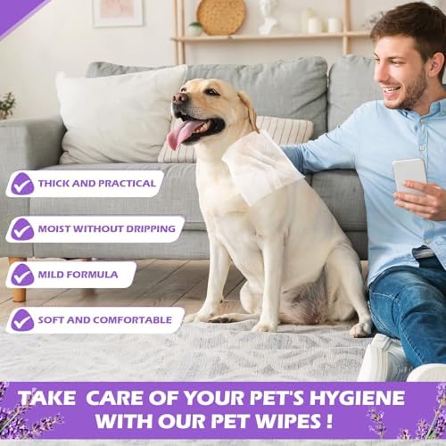 Treela 10 Pack Dog Pet Wipes, 80 Count Paws Body, Lavender