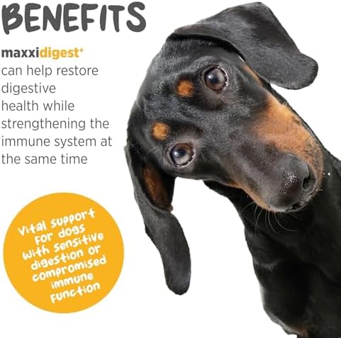 maxxipaws maxxidigest+ Dog Probiotics & Prebiotic Powder for Gut Health 7oz