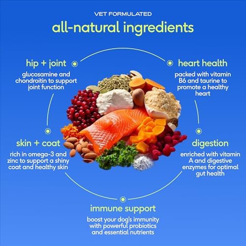 Native Pet The Daily Dog Vitamins & Supplements - 11-in-1 Multivitamin for Dogs - Daily Powder Supplement with Probiotics, Collagen - 60 Scoops