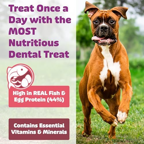 Yummy Combs Dog Dental Treats – Fish & Egg Protein – Vet VOHC Approved, Removes Tartar – A Daily Teeth Cleaning Treat for Medium Dogs (30 Count) (Pack of 2)
