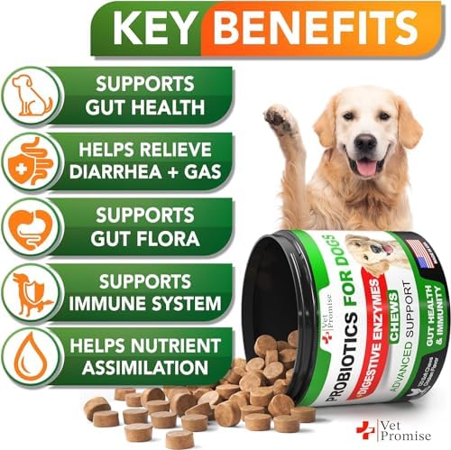 (2 Pack) Probiotics for Dogs - 240 Ct, Dog Probiotics and Digestive Enzymes