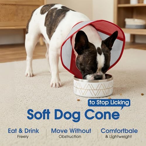 Dog Cone - Soft Cone for Dogs to Stop Licking