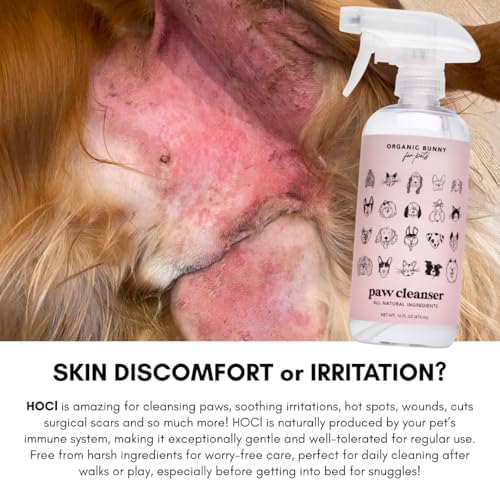 for Pets Paw Cleanser – No‑Rinse, Lick-Safe Unscented Natural Spray to Soothe, Cleanse, and Deodorize for Pets – Safe & Hypoallergenic Formula for Dogs & Cats – 16 Oz.