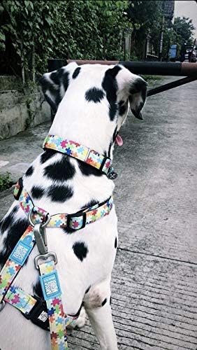 Max & Molly Fashion Smart ID Dog Collar, Soft Padded Neoprene, Anti-Fade, Adjustable Sizing w/Pet Profile Smart ID QR-Tag, Waterproof & Machine Washable, Puzzle Pieces, Large