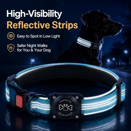 Dog Collar with AirTag Holder Waterproof QR Code Reflective Collar(Blue,M) | Built-in Waterproof Holder, QR Code Tag, Reflective,Secure Buckle