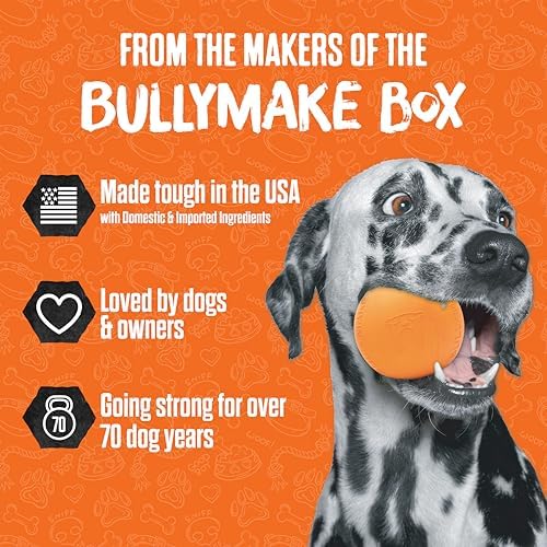 BULLYMAKE Toss N Treat Keg Dog Toy, Treat Dispensing, Tough Rubber Dog Toy