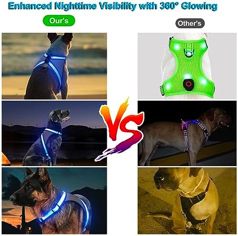 Visinite LED Dog Harness, USB Rechargeable Light Up Dog Vest, 2 Illuminate Modes Glow in The Dark Dog Harness, Adjustable Lighted Pet Harness Light for Night Walking Safety(Blue, XL)
