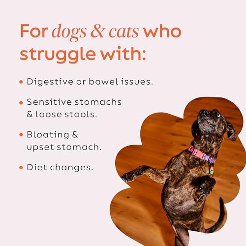 Diggin’ Your Dog, Firm Up Original Pumpkin Super Dog & Cat Supplement, 1 Ounce