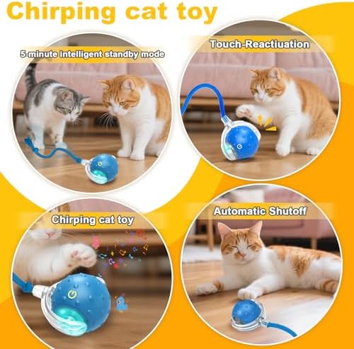 2Pcs Interactive Cat Toys with Bird Sounds for Indoor Cats ＆Small Dog Play