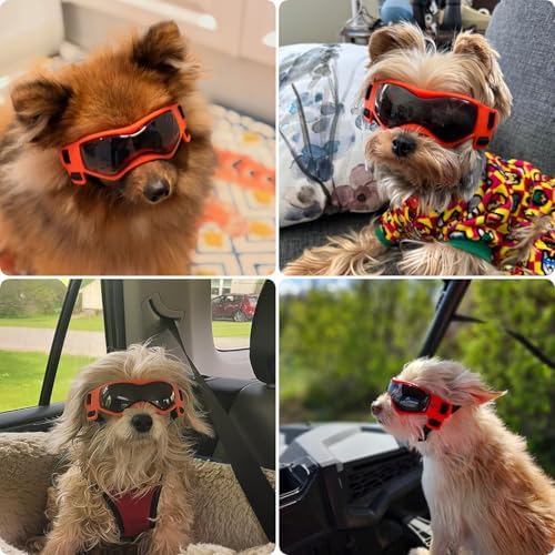 Dog Goggles for Small Breed, Anti-UV Windproof Extra Small Dog Sunglasses, XSmall Pet Eye Protection for Riding Cycling Hiking, Orange XS
