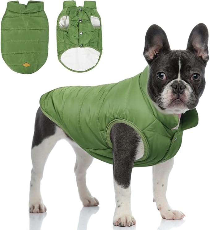 Warm Dog Coat, Windproof Dog Jacket Fleece Pet Winter Coats Solid Color Dogs Clothes Cold Weather Pet Jacket Vest Soft Puppy Apparel for Small Medium Dogs Cat (XS, Green)