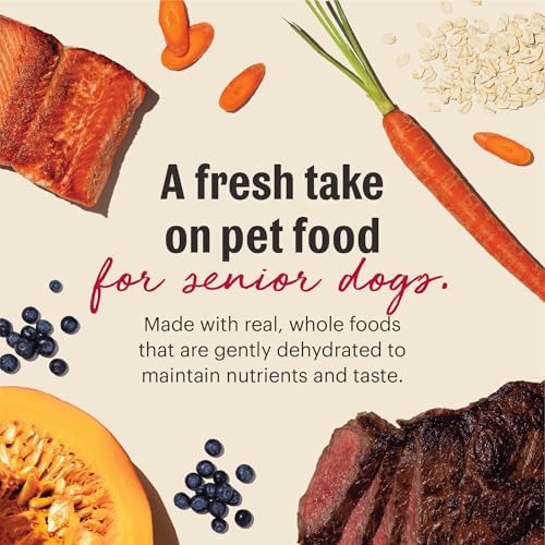The Honest Kitchen Wholemade Whole Grain Senior Dog Food, Beef, Oat & Salmon Recipe, Human Grade Dehydrated Dog Food, Overall Health Support for Senior Dogs, Just Add Water, 7 lb Bag Makes 28 lbs