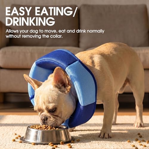 Dog Cone Soft Cone for Dogs to Stop Licking