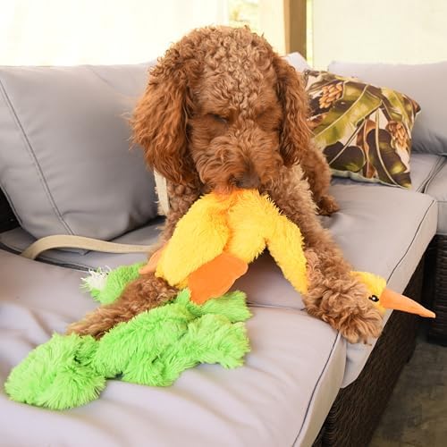 FGA MARKETPLACE Frog-Grey Rabbit-Duck Flat NO Stuffing NO Squeak Plush Dog Toy, Funny Style Will Entertain Your Pet for Hours, Recommended for Small and Medium Dog 21 INCH Long