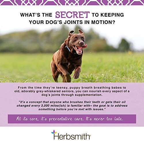 Herbsmith Sound Dog Viscosity – Advanced Joint Support for Dogs – Veterinarian Recommended Glucosamine for Dogs, Hyaluronic Acid, Chondroitin, MSM – Natural Arthritis Pain Relief – 500g Powder