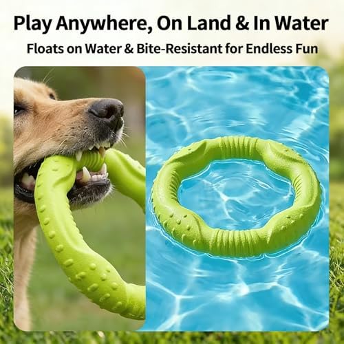 LaRoo Dog Chew Ring Toy for Small Dogs, Durable EVA Floating Puppy Teething Chew Toy, Interactive Tug of War Fetch Toy for Dental Cleaning & Outdoor Play (Green)