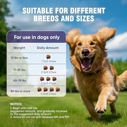 Joint Supplement for Dogs 200 ct, Glucosamine Chondroitin MSM for All Dogs