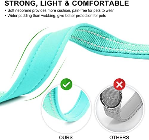 azuza Airtag Dog Collar, Medium Dog Collar with Airtag Holder, Teal, M