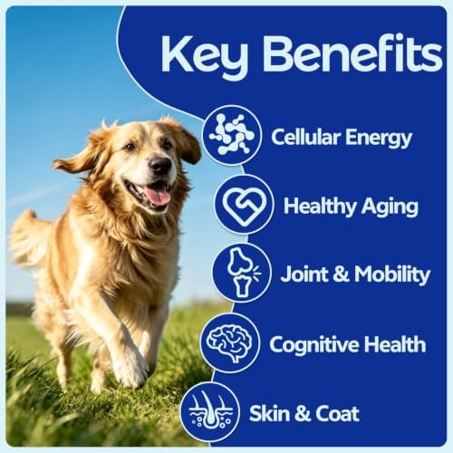 NAD+ Senior Dog Supplement - 14-in-1 NMN Longevity, 125 Soft Chews