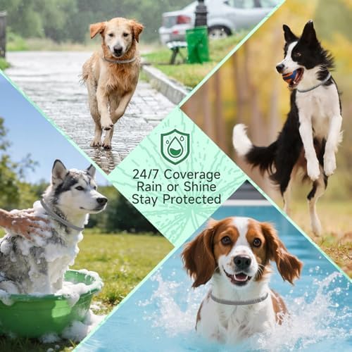 4 Pack Flea Collar for Dogs, 32 Months Flea and Tick Prevention for Dogs