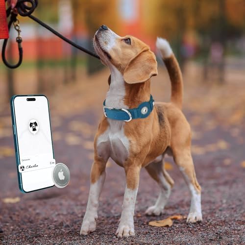 Leather Dog Collar with Airtag Holder - Apple Air Tag Dog Collars - Soft Tracking GPS Pet Collar for Small Medium Large Dogs Breed Puppy (Smoky Blue, L, 15"-19" Neck Fit)