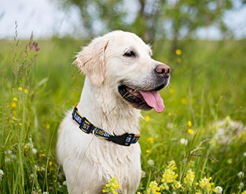 NHL Saint Louis Blues Collar for Dogs & Cats, Medium. - Adjustable, Cute & Stylish! The Ultimate Hockey Fan Collar!