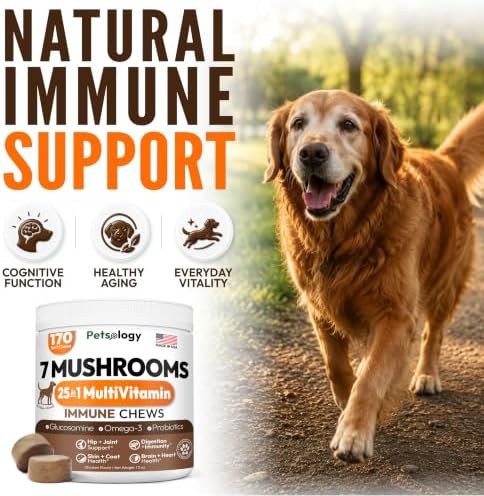 (2 Pack) Turkey Tail Mushroom for Dogs - 340 Chews - Mushrooms for Dogs