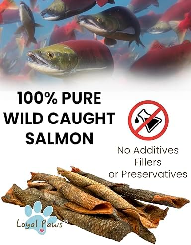 Freeze Dried Salmon Skin Dog Treats Omega3 Grain Free 4 oz