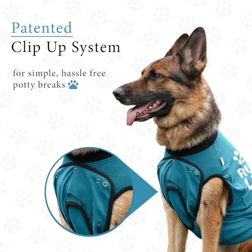 BellyGuard Dog Surgery Recovery Suit, Male Female After Spay Neuter Onesie