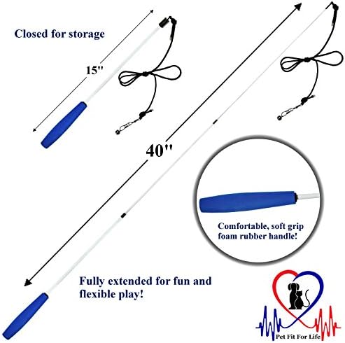 Pet Fit For Life - Retractable Feather Wand for Cats - Durable Interactive Cat Toy, Teaser Fishing Pole with Feather Lures - Fun Kitten Play Wand, 2 Feathers with String Attachment